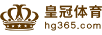 Logo 盛世国际|平台注册登录
